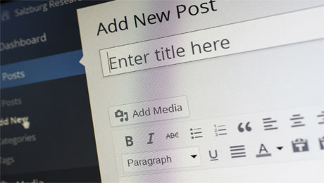 servicio wordpress
